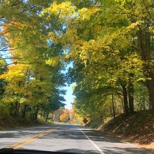 Meet your Posher, Cynthia